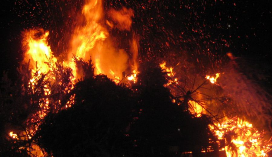 Knut 2025 - Weihnachtsbaumverbrennung