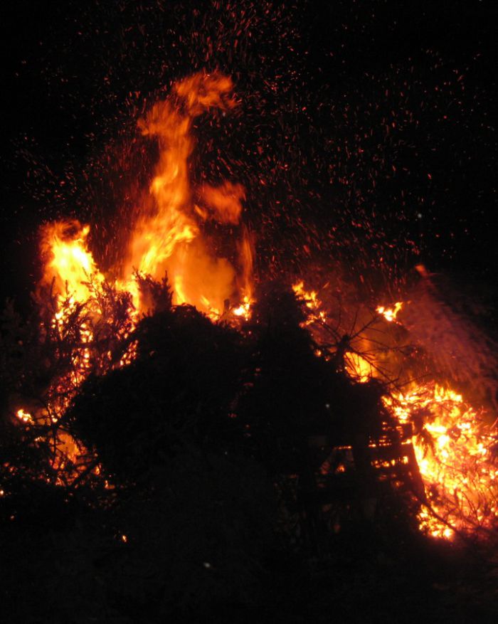 Knut 2025 - Weihnachtsbaumverbrennung